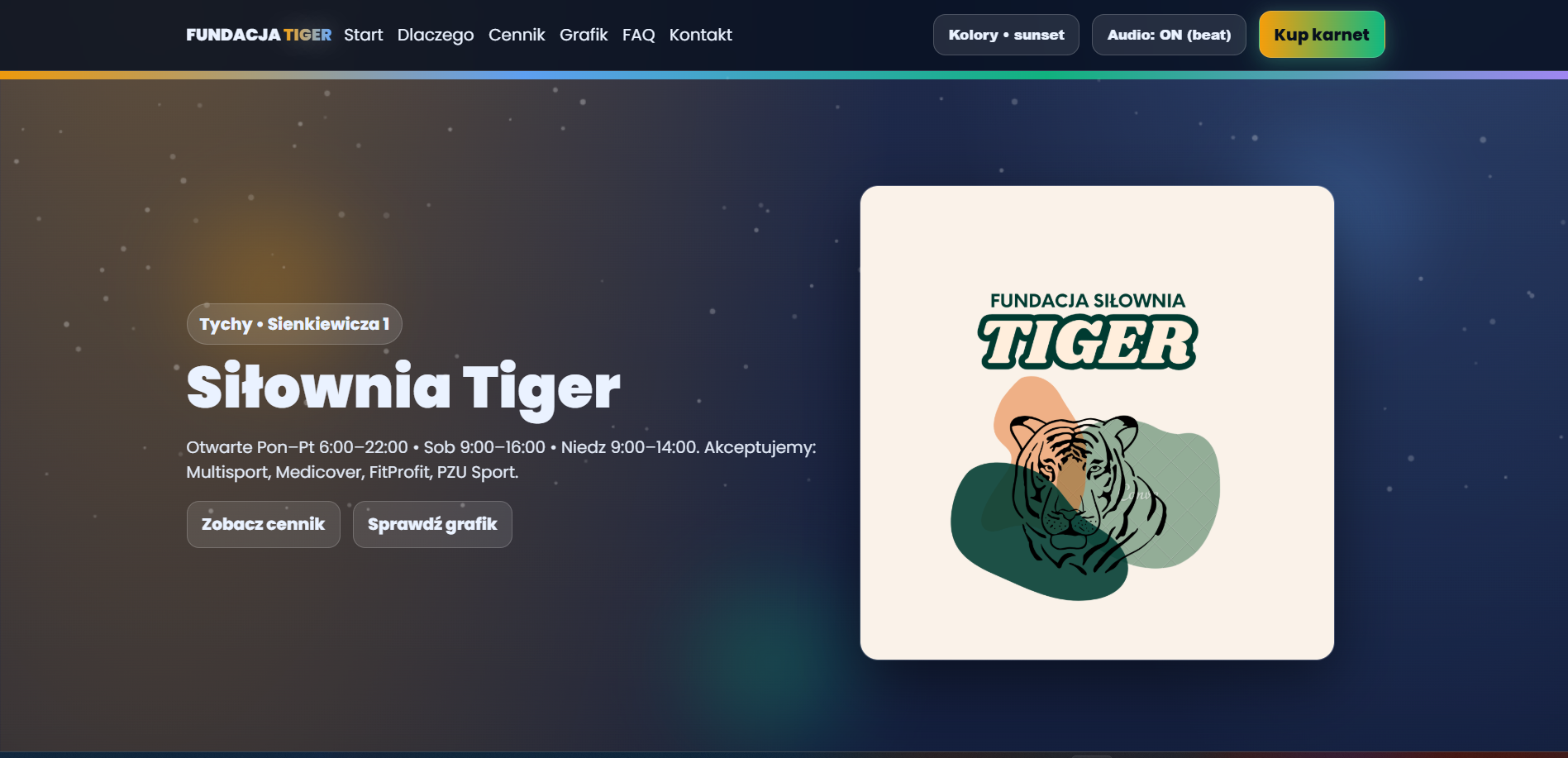 Tiger Gym — hero preview